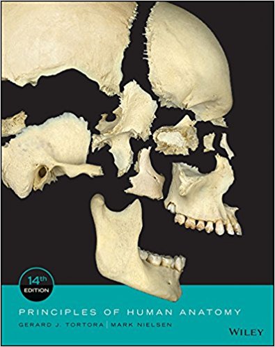 9f089 51vqlfxezgl Test Bank for Principles of Human Anatomy, 14th Edition Tortora, Nielsen Test Bank 1